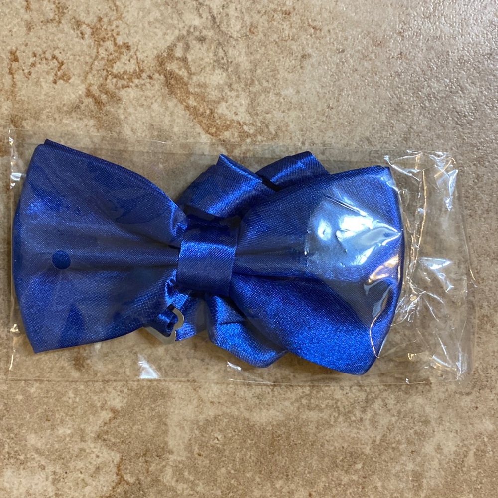 Royal blue men’s bowtie, never worn.